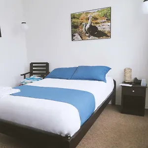  Bed and breakfast Bird Garden